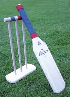 Cricket Set 